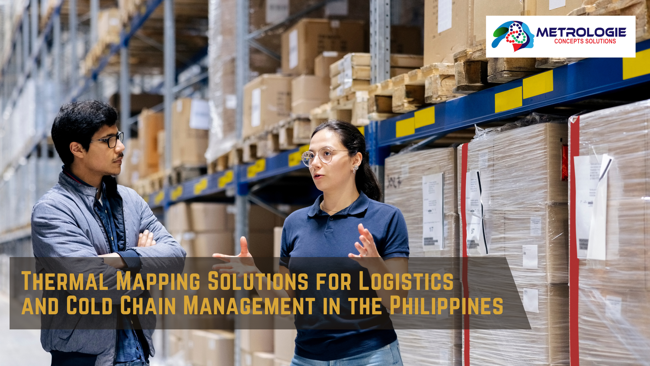 Read more about the article Thermal Mapping Solutions for Logistics and Cold Chain Management in the Philippines