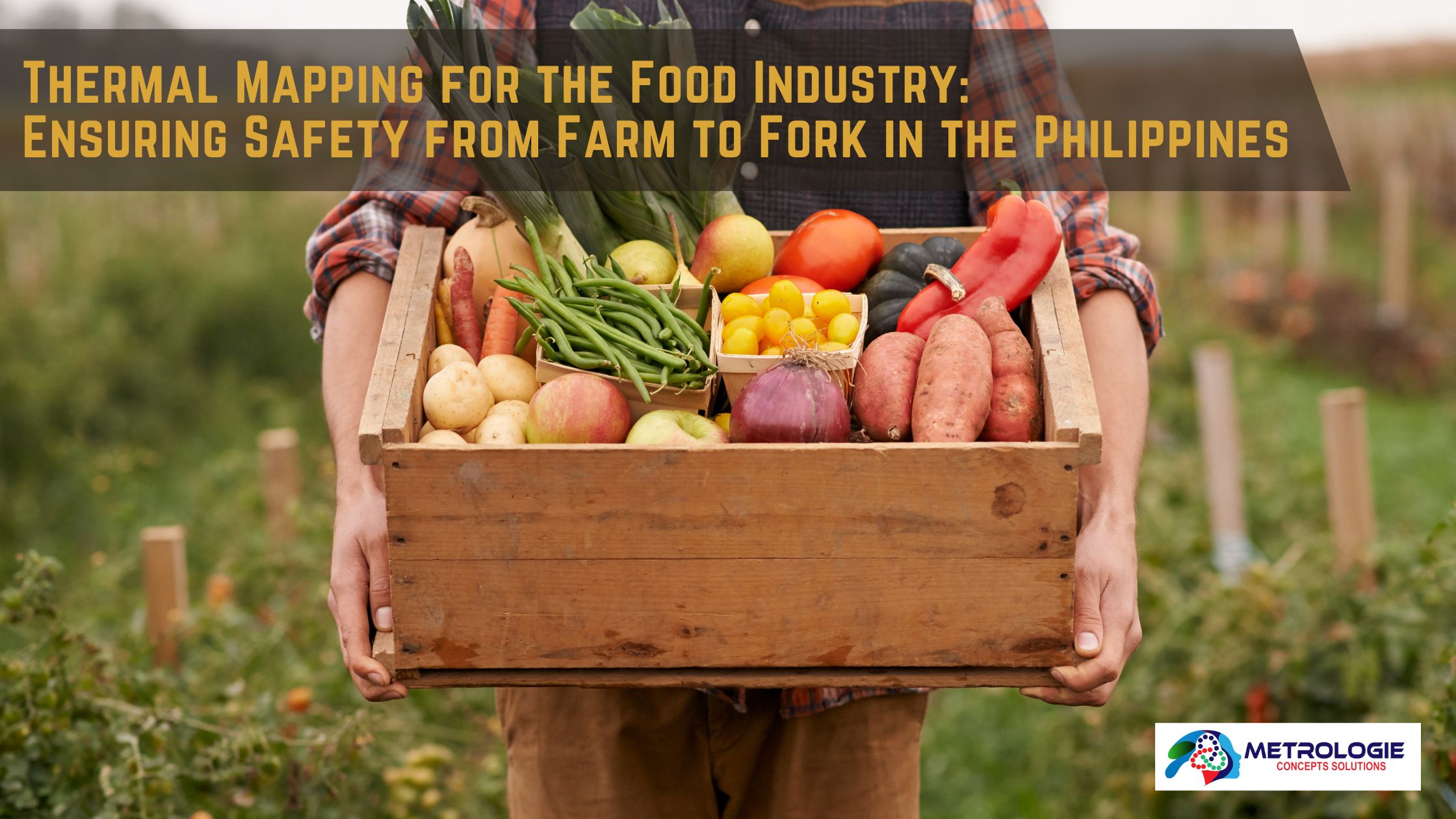 You are currently viewing Thermal Mapping for the Food Industry: Ensuring Safety from Farm to Fork in the Philippines