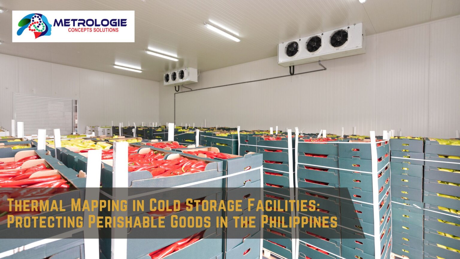 Thermal Mapping in Cold Storage Facilities: Protecting Perishable Goods ...
