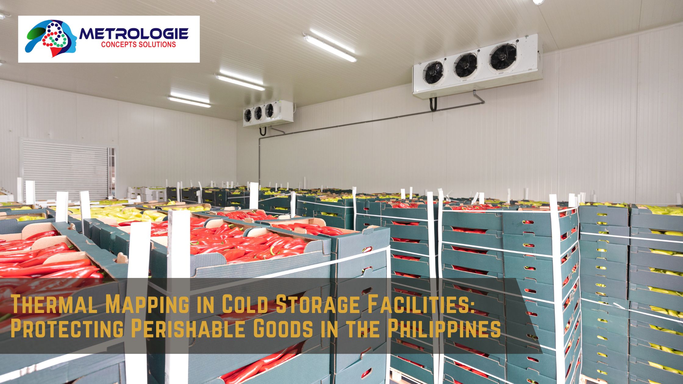 Read more about the article Thermal Mapping in Cold Storage Facilities: Protecting Perishable Goods in the Philippines