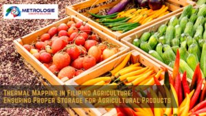 Read more about the article Thermal Mapping in Filipino Agriculture: Ensuring Proper Storage for Agricultural Products