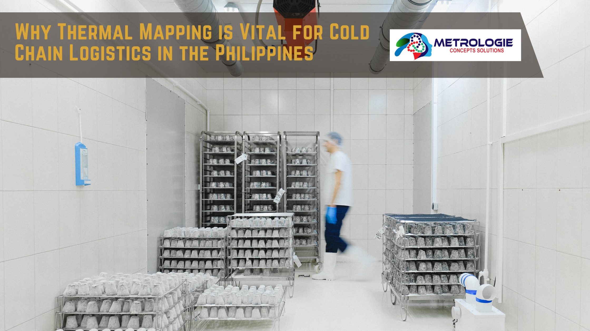 Read more about the article Why Thermal Mapping is Vital for Cold Chain Logistics in the Philippines