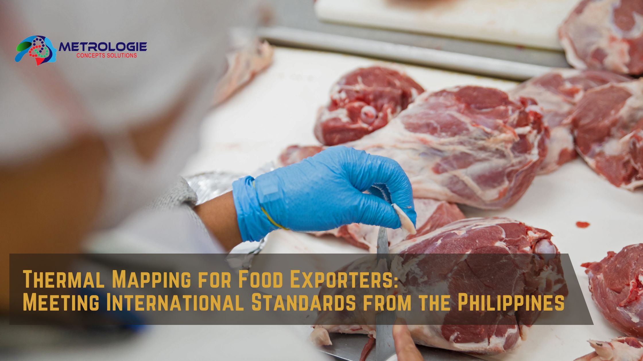 Read more about the article Thermal Mapping for Food Exporters: Meeting International Standards from the Philippines